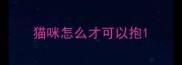 猫咪怎么才可以抱