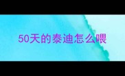 50天的泰迪怎么喂