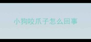 小狗咬爪子怎么回事