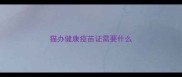猫办健康疫苗证需要什么