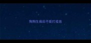 狗狗生病后不能打疫苗