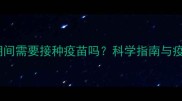 猫咪怀孕期间需要接种疫苗吗科学指南与疫苗选择全