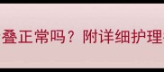 金毛幼犬耳朵折叠正常吗附详细护理指南及疾病预防