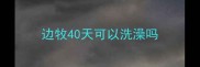 边牧40天可以洗澡吗