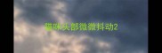 猫咪头部微微抖动