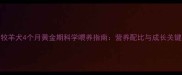 德国牧羊犬4个月黄金期科学喂养指南营养配比与成长关键期全
