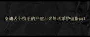 泰迪犬不梳毛的严重后果与科学护理指南