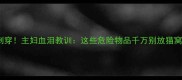 上海猫咪肋骨肺部被刺穿主妇血泪教训这些危险物品千万别放猫窝旁附急救指南