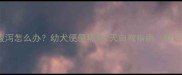 边牧幼犬腹泻怎么办幼犬便便稀软7天自救指南附护理清单
