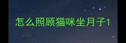 怎么照顾猫咪坐月子