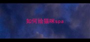 如何给猫咪spa