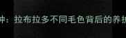 全色种拉布拉多不同毛色背后的养护密码