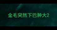 金毛突然下巴肿大