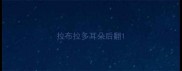拉布拉多耳朵后翻