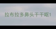 拉布拉多鼻头干干呕