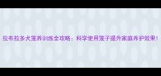 拉布拉多犬笼养训练全攻略科学使用笼子提升家庭养护效果