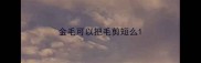 金毛可以把毛剪短么