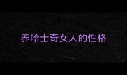养哈士奇女人的性格
