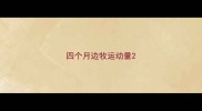 四个月边牧运动量