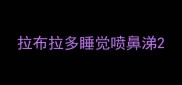 拉布拉多睡觉喷鼻涕