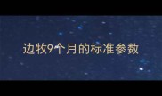 边牧9个月的标准参数