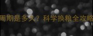 猫咪换猫粮的正确周期是多久科学换粮全攻略附换粮时间表
