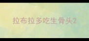 拉布拉多吃生骨头
