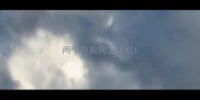 两个月狗狗上飞机