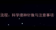 狗狗狂犬疫苗全流程科学接种针数与注意事项附权威指南
