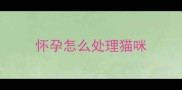 怀孕怎么处理猫咪