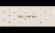 狗狗几个月会褪毛