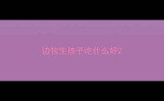 边牧生孩子吃什么好