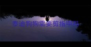 泰迪狗狗需要剪指甲吗