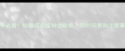 新手必看幼猫疫苗接种全攻略附时间表和注意事项