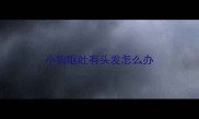 小狗呕吐有头发怎么办
