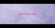 边牧可以吃什么蔬菜