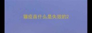 猫疫苗什么是失效的