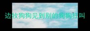 边牧狗狗见到别的狗狗狂叫