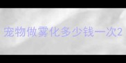 宠物做雾化多少钱一次