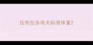 拉布拉多母犬标准体重
