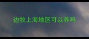 边牧上海地区可以养吗