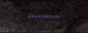 拉布拉多性格怎么样6