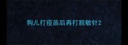 狗儿打疫苗后再打脱敏针