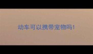 动车可以携带宠物吗