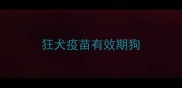 狂犬疫苗有效期狗