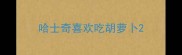 哈士奇喜欢吃胡萝卜