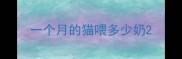 一个月的猫喂多少奶