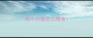 两个月猫怎么喂食
