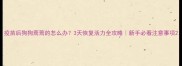 疫苗后狗狗蔫蔫的怎么办3天恢复活力全攻略新手必看注意事项