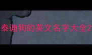 泰迪狗的英文名字大全